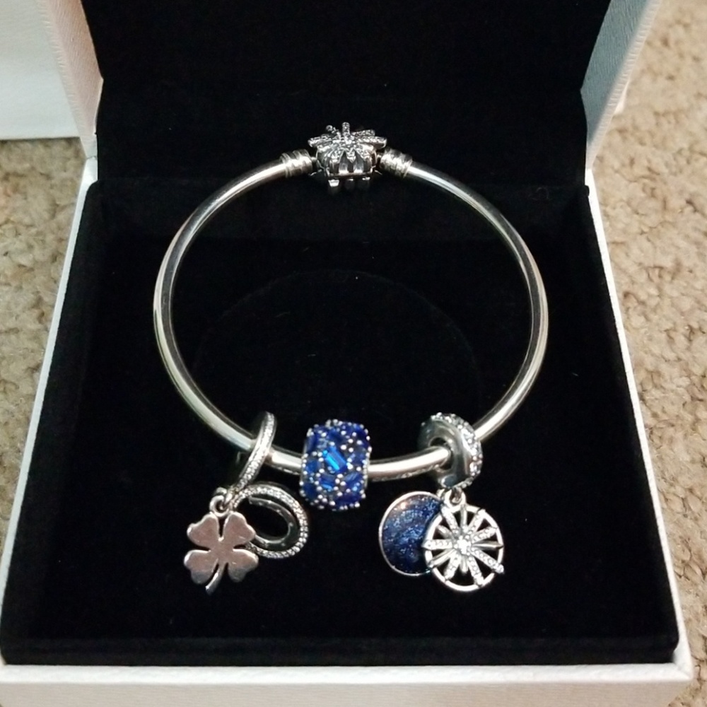 Pandora bracelet w/ charms